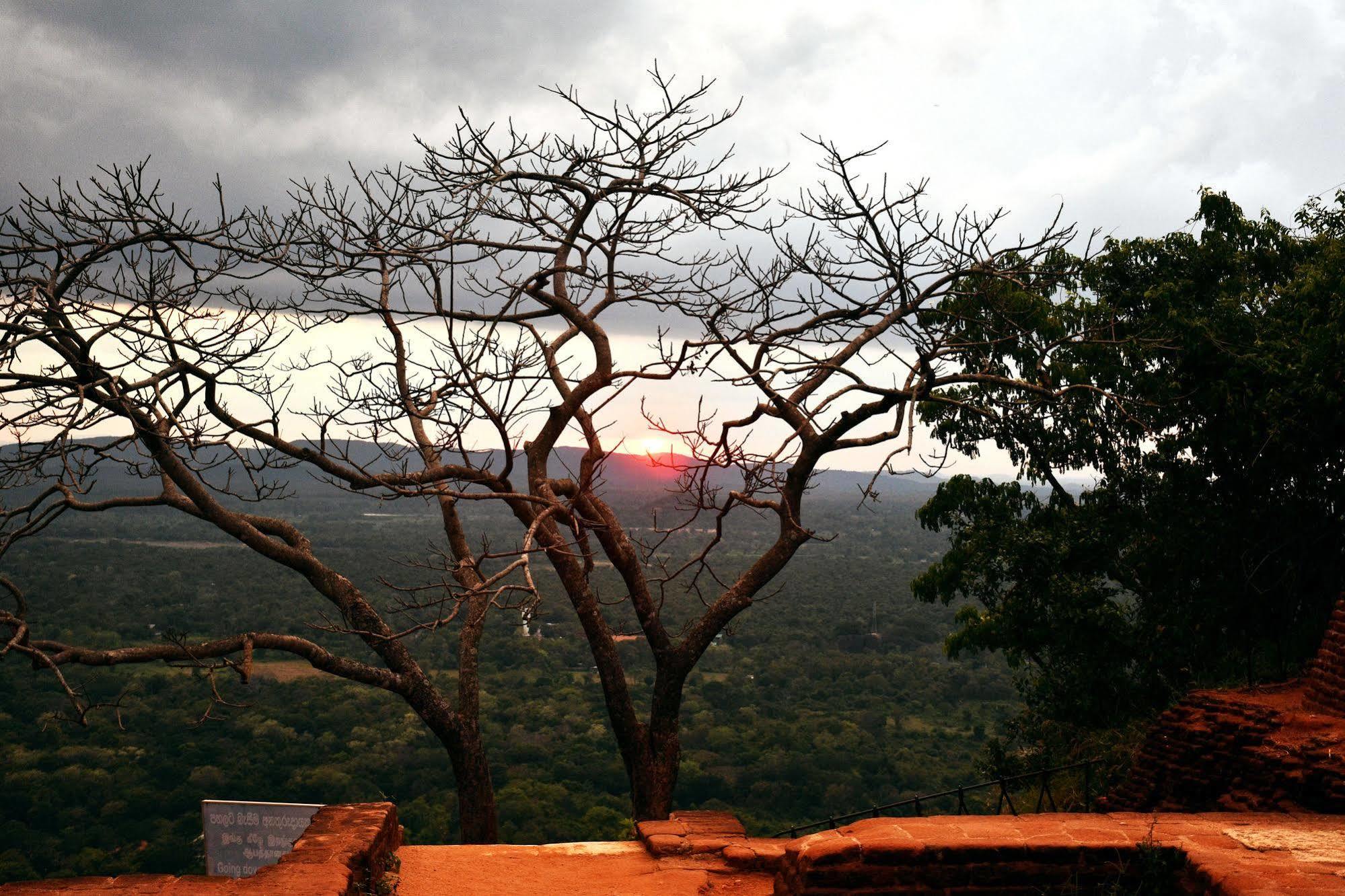 Cassandra Culture Resort Sigiriya Exterior photo